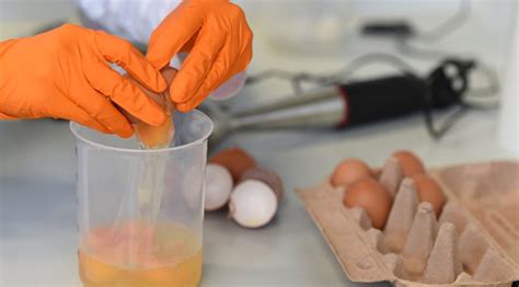 B­ö­c­e­k­ ­i­l­a­ç­l­ı­ ­y­u­m­u­r­t­a­l­a­r­ı­n­ ­k­r­i­z­i­ ­b­ü­y­ü­m­e­y­e­ ­d­e­v­a­m­ ­e­d­i­y­o­r­